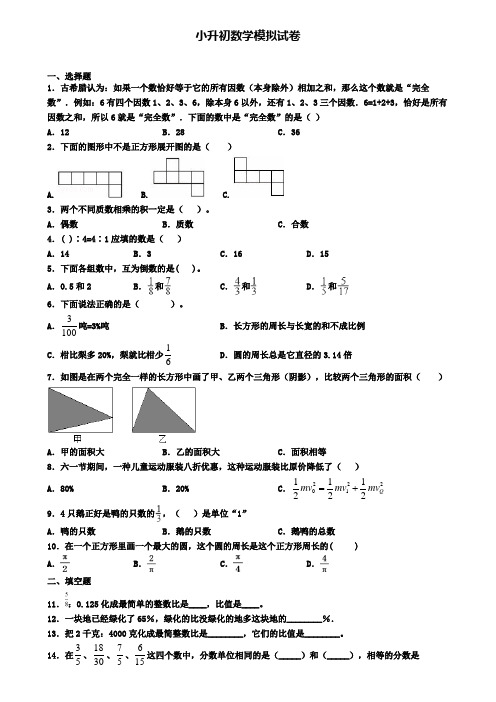 〖精选4套试卷〗山东省聊城市2020年小升初学业质量监测模拟试题