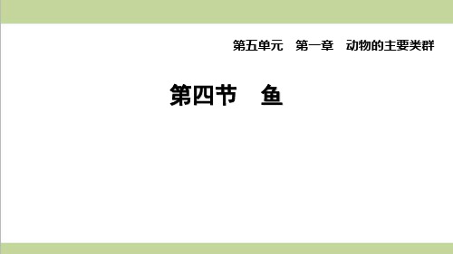 人教版八年级上册生物 1.4 鱼 课后习题重点练习课件