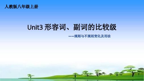 人教新目标版八年级英语上册形容词、副词规则与不规则变化及用法 课件