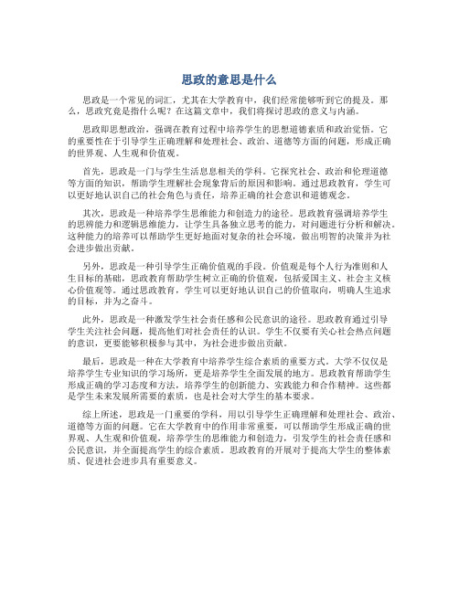 思政的意思是什么