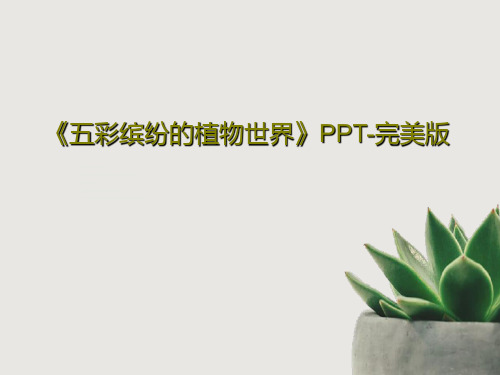 《五彩缤纷的植物世界》PPT-完美版共82页