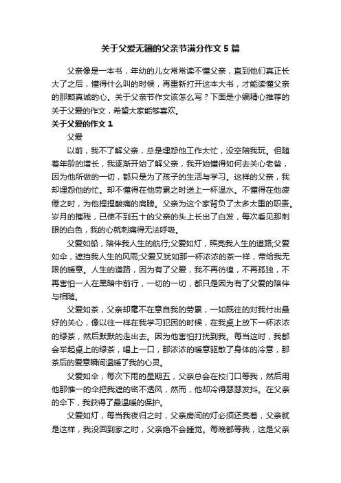 关于父爱无疆的父亲节满分作文5篇