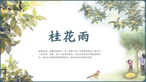 桂花雨 课件(共32张PPT)