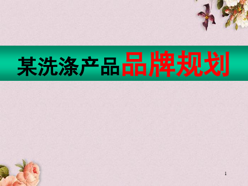 某洗涤产品品牌策划(ppt 114页)