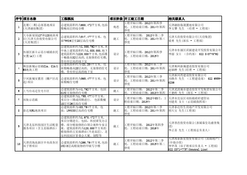 天津市2012年大项目表