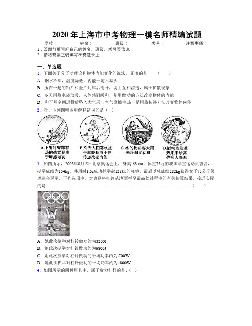 2020年上海市中考物理一模名师精编试题附解析