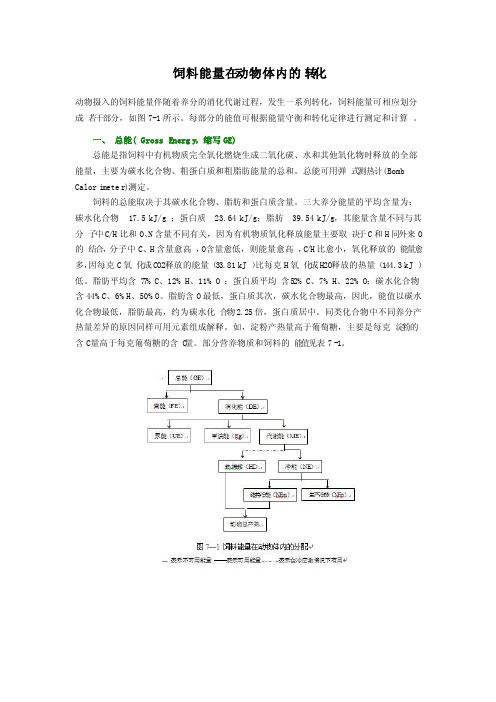 饲料能量在动物体内的转化