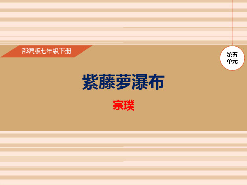 部编版七年级下册语文《紫藤萝瀑布》PPT优秀教学说课复习课件