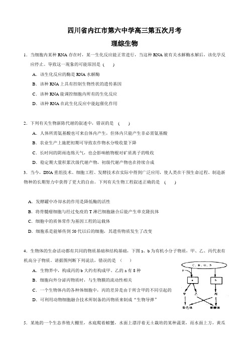 四川省内江市第六中学高三第五次月考(理综生物)