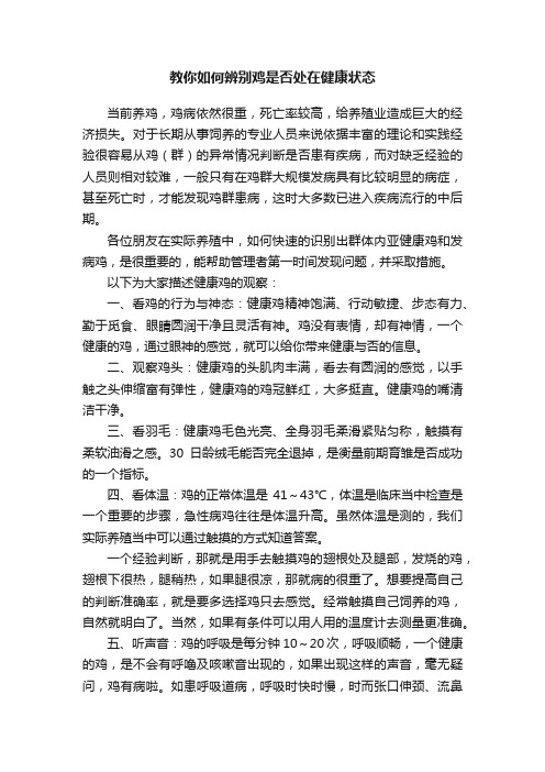 教你如何辨别鸡是否处在健康状态