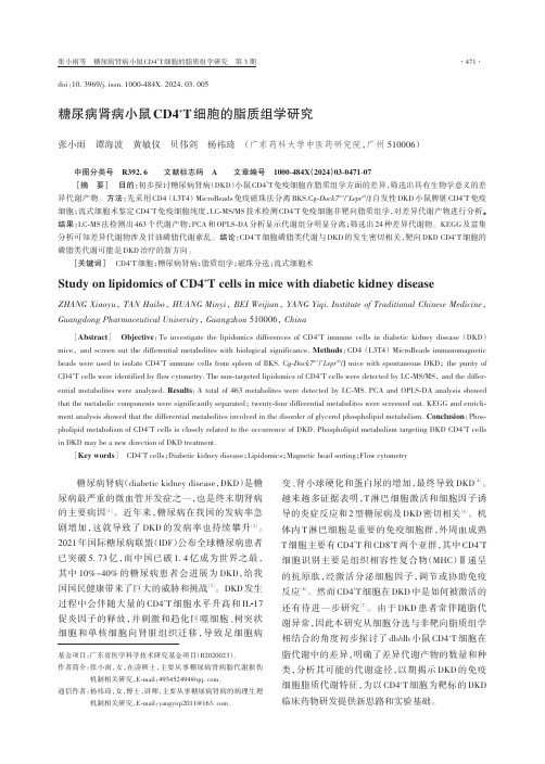 糖尿病肾病小鼠CD4+T_细胞的脂质组学研究