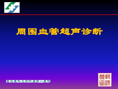 周围血管疾病超声诊断