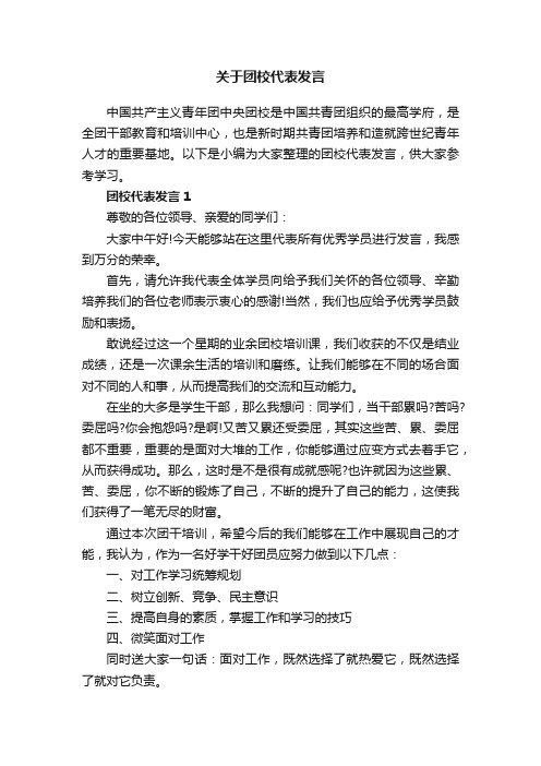 关于团校代表发言