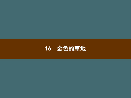 三年级上册语文习题课件-16 金色的草地 部编版