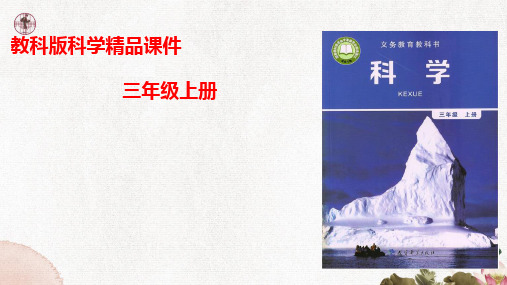 教科版小学科学三年级上册3.5《观测风》课件