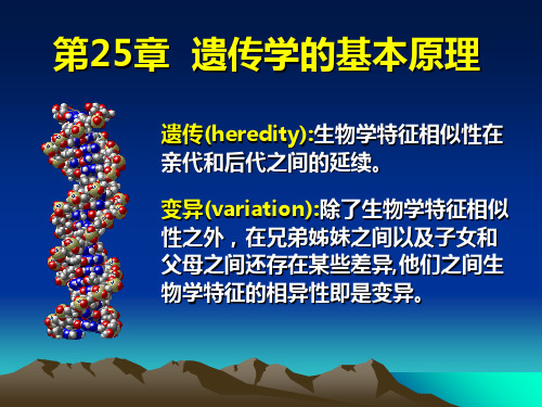 第25章__遗传学的基本原理