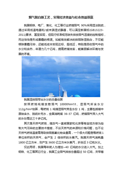 烟气脱白新工艺，实现经济效益与社会效益双赢