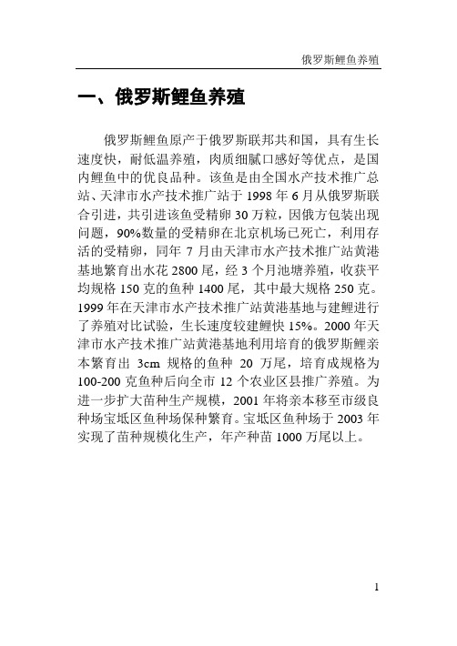 俄罗斯鲤鱼养殖