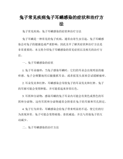 兔子常见疾病兔子耳螨感染的症状和治疗方法