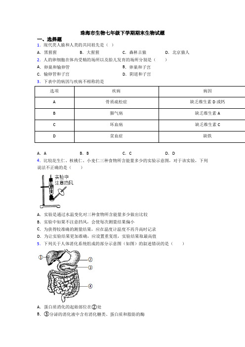 珠海市生物七年级下学期期末生物试题