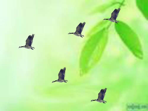 无烟花季主题班会