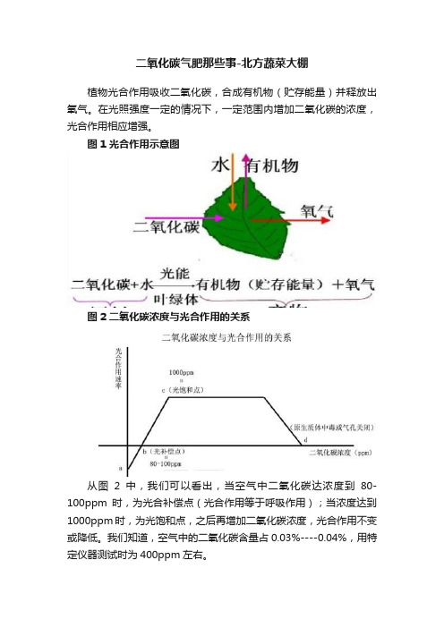 二氧化碳气肥那些事-北方蔬菜大棚