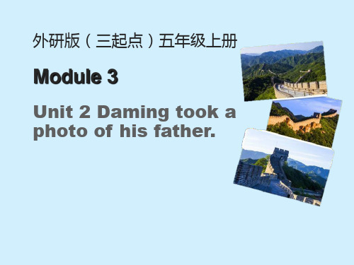 外研版五年级英语上册Daming took a photo of his father