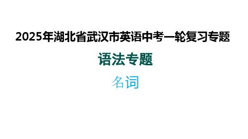 2025年湖北省武汉市中考英语一轮复习专题(语法专题+名词)课件