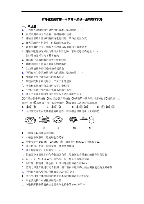 云南省玉溪市第一中学高中必修一生物期末试卷