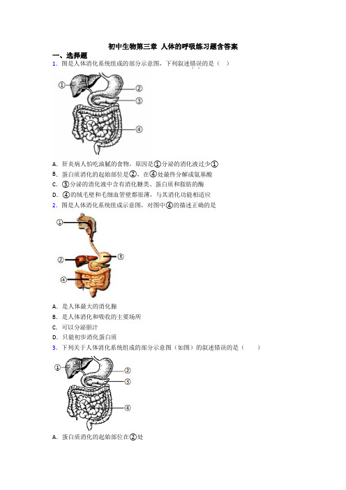 初中生物第三章 人体的呼吸练习题含答案