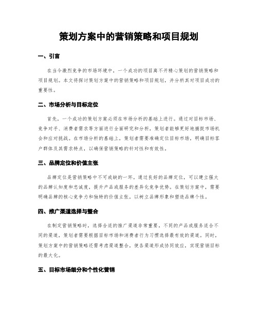 策划方案中的营销策略和项目规划