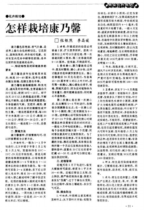 怎样栽培康乃馨