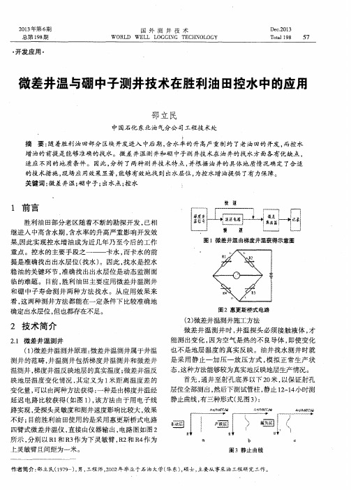 微差井温与硼中子测井技术在胜利油田控水中的应用