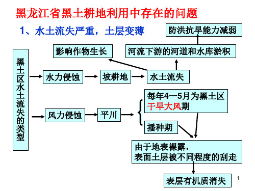 东北地区黑土面临的问题及原因ppt课件