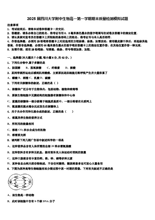 2025届四川大学附中生物高一第一学期期末质量检测模拟试题含解析