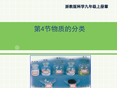 浙教版九年级上册科学2.4《物质的分类》1第一课时教学课件