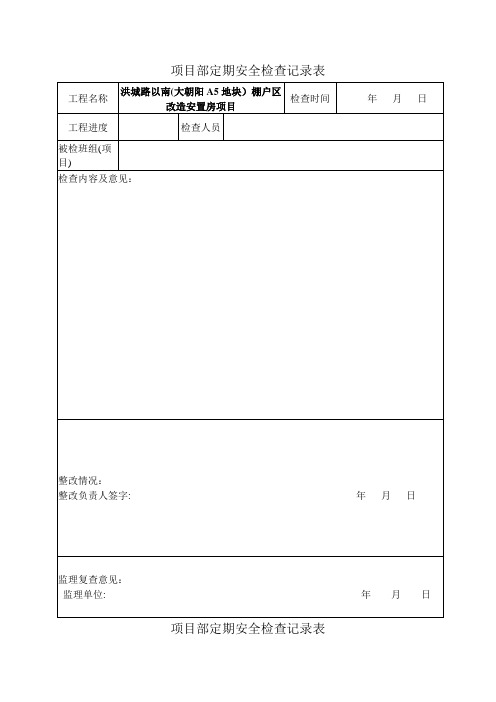 项目定期安全检查记录表