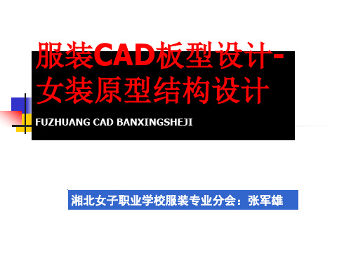 服装cad板型设计女装原型结构设计 fuzhua  世