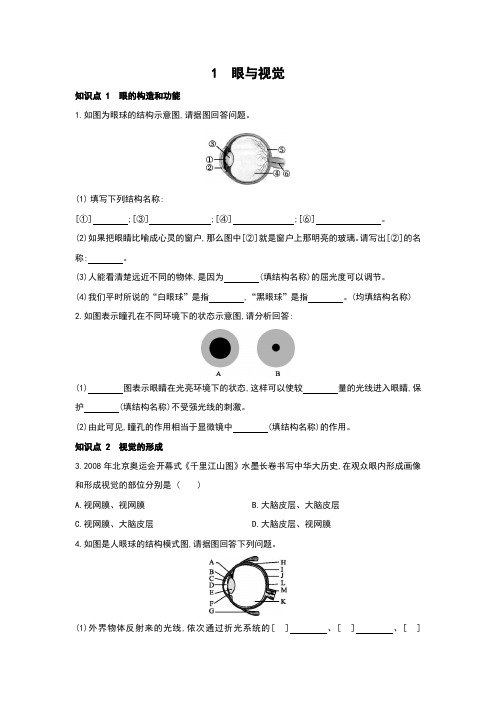 华师大版科学八年级下册同步课时训练31 眼与视觉(含答案)