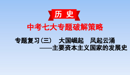 中考历史七大专题破解策略复习课件专题复习03 大国崛起  风起云涌