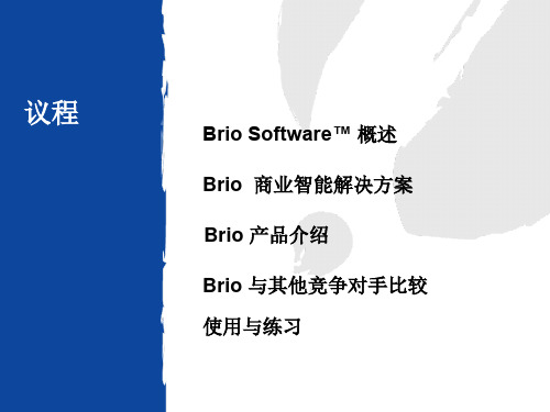 brio整体介绍