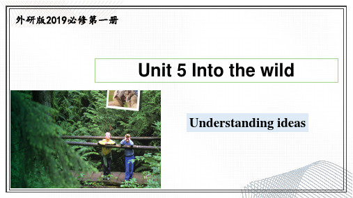 Unit 5 Into the wild 课件-高一英语(外研版2019必修第一册)