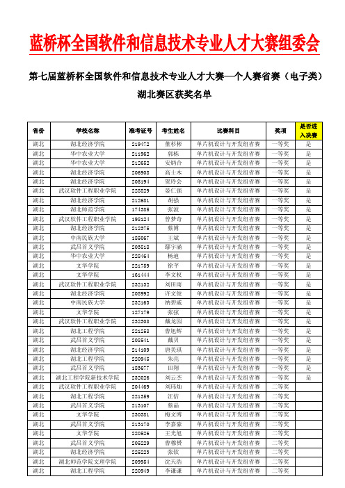 电子类-湖北赛区获奖名单