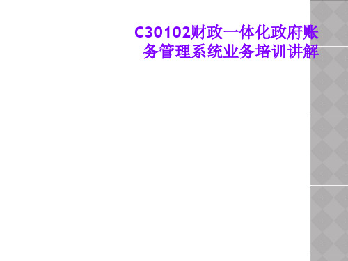 C30102财政一体化政府账务管理系统业务培训讲解