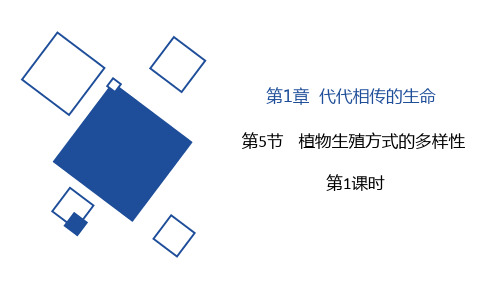 浙教版七年级科学下册《植物生殖方式的多样性》PPT教学课件