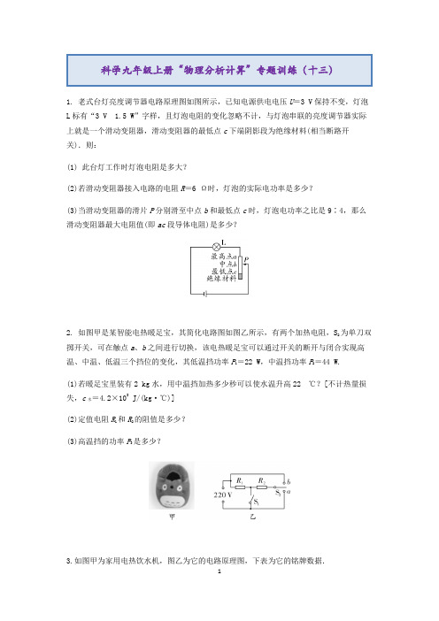 2020浙教版科学九年级上册“物理计算”专题训练(十三)【含解析】