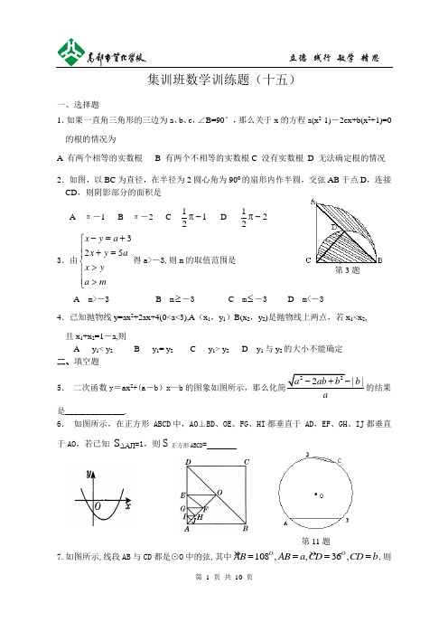 集训班数学训练题十五答案