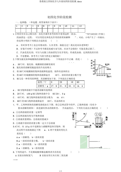 鲁教版五四制化学九年级初四阶段检测.docx