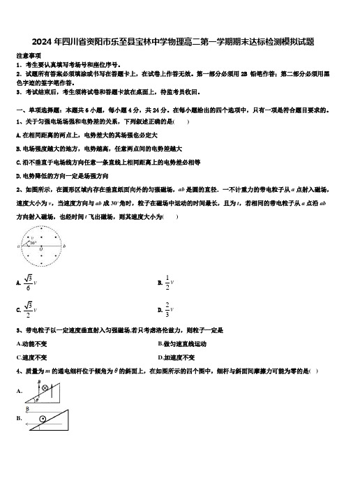 2024年四川省资阳市乐至县宝林中学物理高二第一学期期末达标检测模拟试题含解析