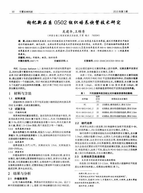 枸杞新品系0502组织培养快繁技术研究